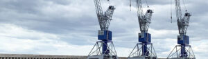 Les grues de marseille Chantier Adrénaline Sud-est